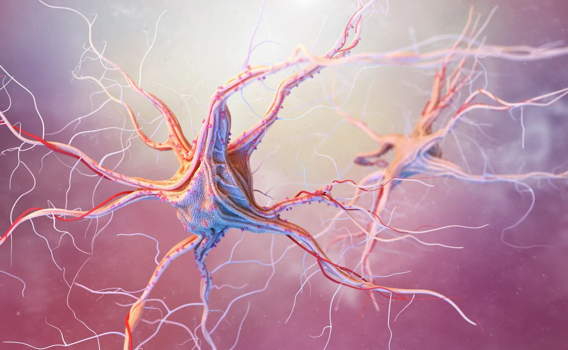 Colorful neuron cells interconnected with dendrites